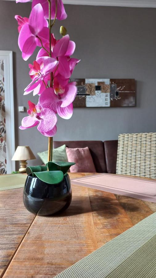 Studios Et Appartements En Centre Ville Boulogne Sur Mer Esterno foto
